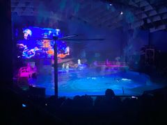 -海合安武汉极地海洋公园