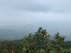 -紫金山山顶公园