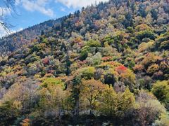 -叠溪松坪沟景区