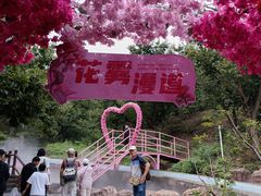 -山叶口景区