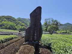 -龙坞茶村