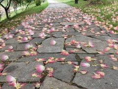 -石塘人家