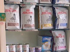 -瑞派·关忠动物医院·猫专科·犬专科(三环新城店)