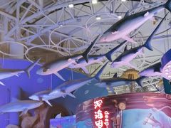-烟台海昌鲸鲨海洋公园