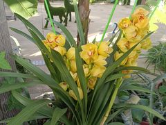 -国家植物园南园