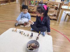 -玛利娅蒙特梭利双语幼儿园·托育(百家湖直营园)