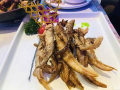 -赵小姐丨新中餐(曲江店)