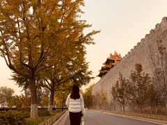 -东华门大街小区