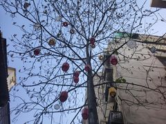 -東茅街茶馆