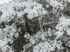 -安吉龙王山风景区