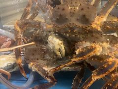 -阳光码头海鲜火锅(世纪大道店)