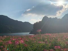 -广州市石门国家森林公园