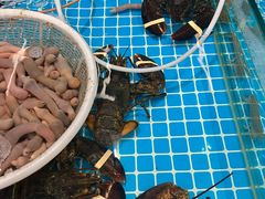 -渡海小渔村.老辈日照菜