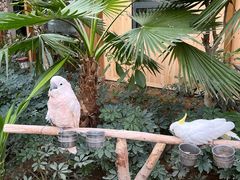 -南宫五洲植物乐园