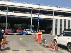 -上海植物园·停车场