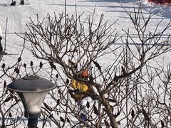 -蓟洲国际滑雪场