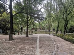 -西安市长乐公园