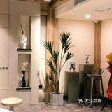 古风老虎堂来啦‼️