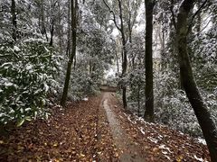 -西湖风景区十里琅珰-五云山