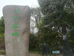 -溱湖国家湿地公园