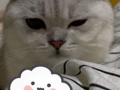 -瑞派名望24h动物医院异宠专科·猫专科·骨科·重症监护分院