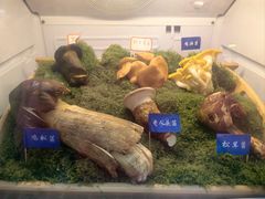 -束河人家(南锣鼓巷店)