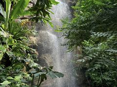 -昆明植物园