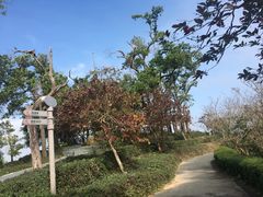 -东部华侨城