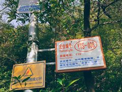 -阳台山自然风景区