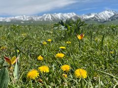 -新疆那拉提国家旅游度假区