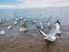 -青海湖二郎剑景区