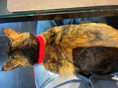 -EATALIA意塔利意式餐厅(鼓楼店)