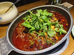 -黔渔翁豆花渎鱼(喷水池店)
