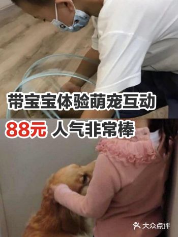 带宝宝体验萌宠互动，88元，人气非常棒
