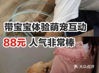 带宝宝体验萌宠互动，88元，人气非常棒