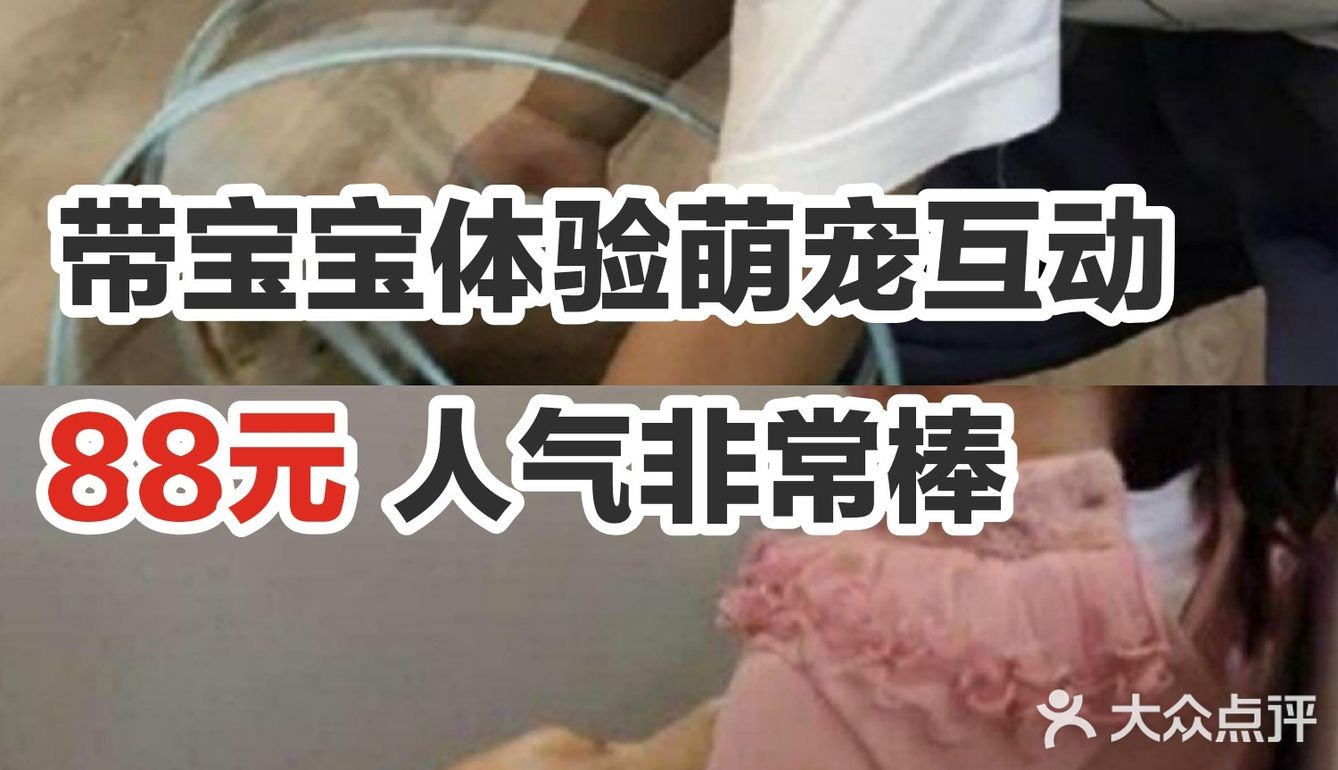 带宝宝体验萌宠互动，88元，人气非常棒