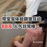 带宝宝体验萌宠互动，88元，人气非常棒
