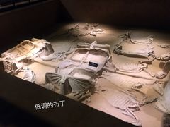 景点-洛阳周王城天子驾六博物馆