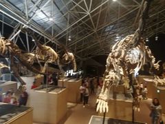 -世界恐龙谷景区