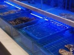 水产区-悦海·家宴·冰花皮皮虾大锅贴(宝龙店)