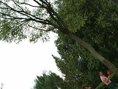 -悦百味·品质川菜(橄榄郡店)