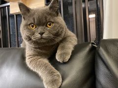 -comecome来吧宠物(奥克斯中心店)