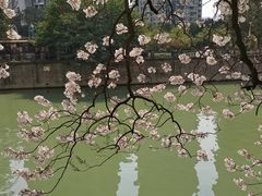-红星桥(地铁站)