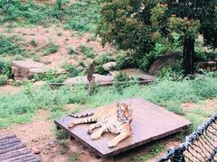 -大连森林动物园