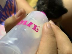 -瑞派天宁宠物医院·猫科·异宠中心