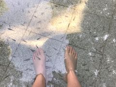 -碧水湾温泉