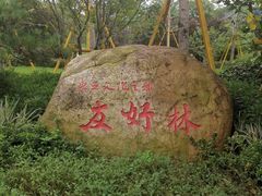 -江心屿景区