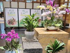 -黔蘑菇四季餐厅(观山湖店)