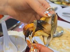 -大茄来海鲜餐厅(亚洲城分行)