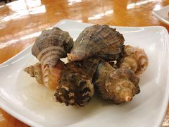 海螺-明记海鲜大排档(巽寮湾店)